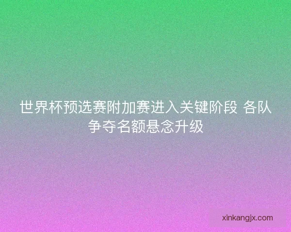 世界杯预选赛附加赛进入关键阶段 各队争夺名额悬念升级