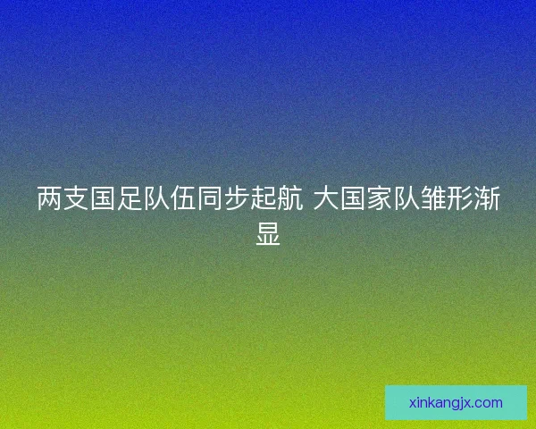 两支国足队伍同步起航 大国家队雏形渐显