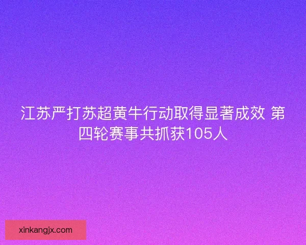 江苏严打苏超黄牛行动取得显著成效 第四轮赛事共抓获105人